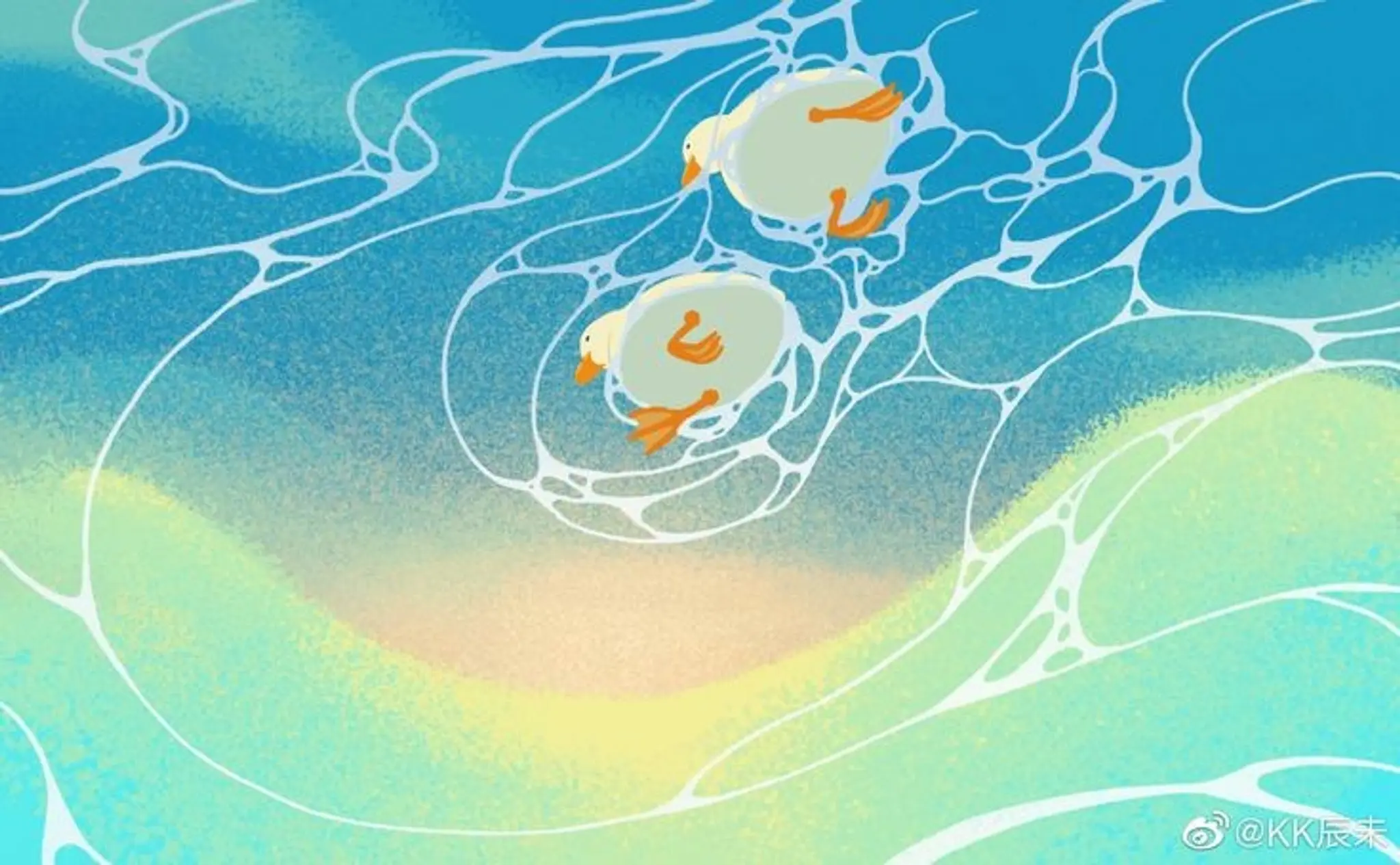 Cover photo