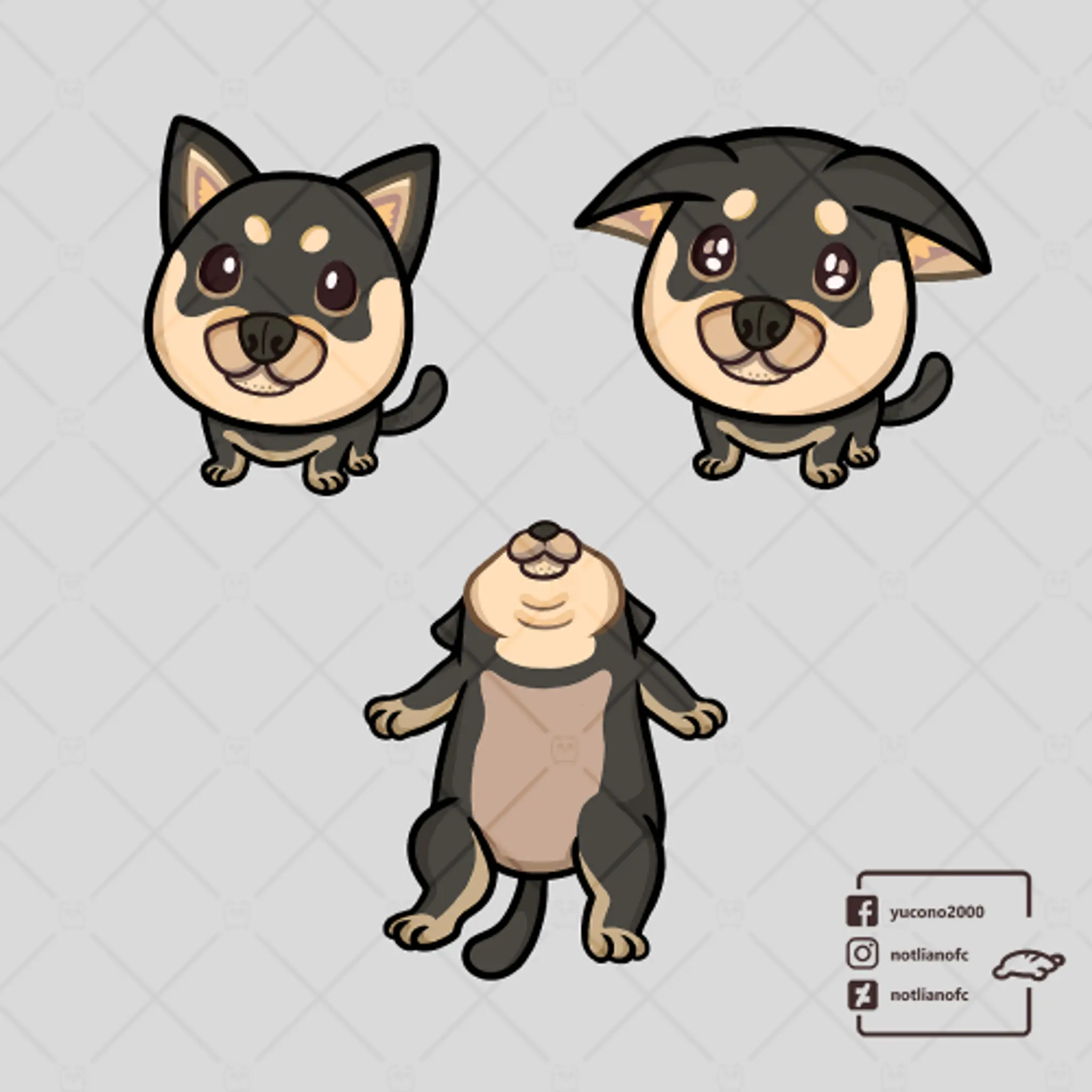 Hero photo 2 of Pet